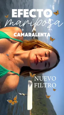 MARIPOSAS VOLANDO 