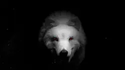 wolf intro