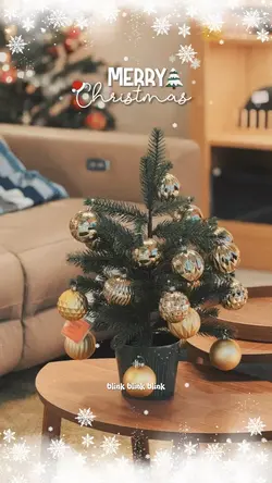 Christmas 2024 🎄✨