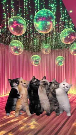 dancing cats