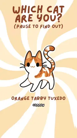 which cat u r?