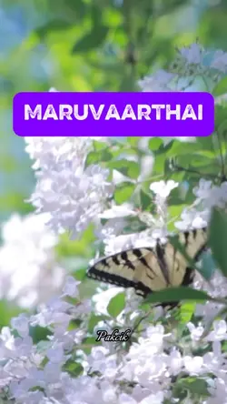 Maruvaarthai