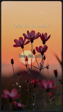 Feliz Dia das Mães 