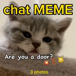 Chat MEME