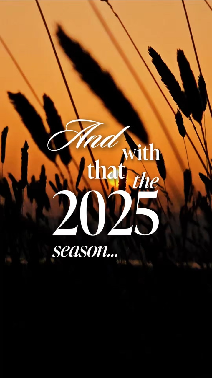 2025 recap x Opalite