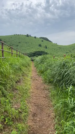 간편 사진 전환