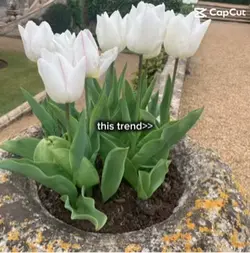 this trend>>>