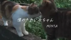 🎶 僕のかわい子ちゃん