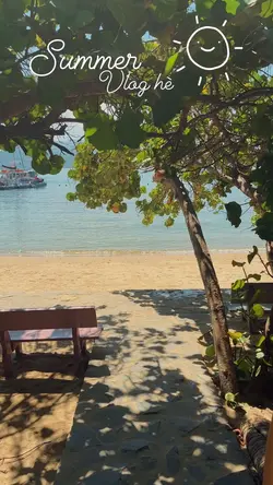 Mẫu du lịch hè 2023