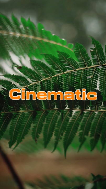 Vídeo cinematográfico 5