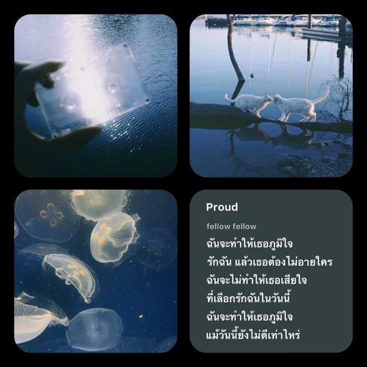 Proud โทนฟิล์ม