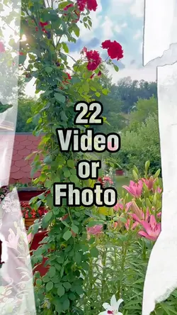 Flower in the Garden