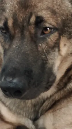 กลัวป้าข้างบ้าน