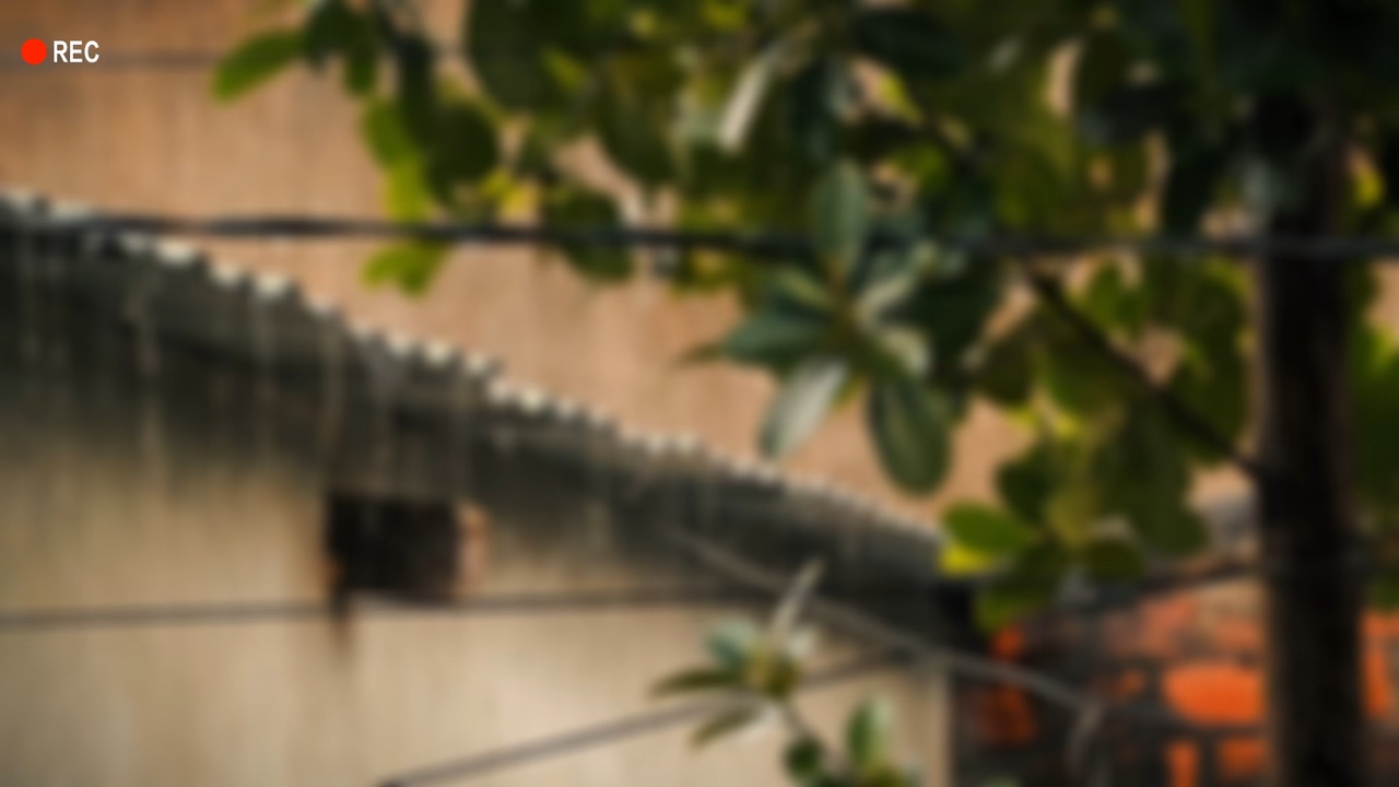 Chill mưa buồn