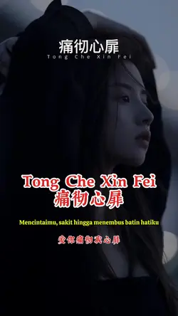 Tong Che Xin Fei