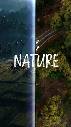 Nature’s aesthetic 
