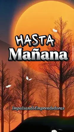 Feliz Noche 