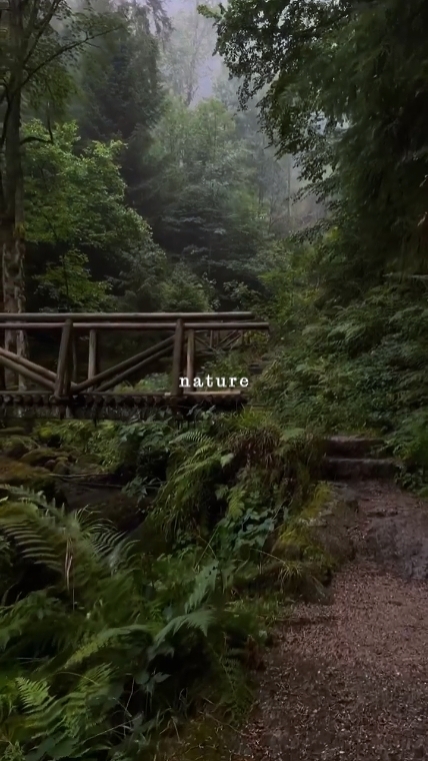 nature