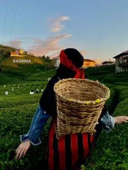 Karadeniz şablonu 