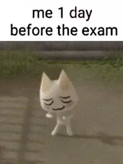 Before the exam meme
