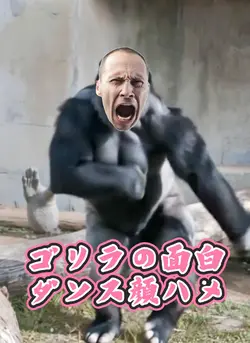 ゴリラの面白ダンス顔ハメ