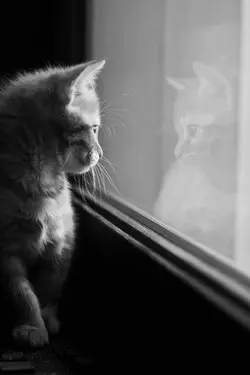 sad x aesthetic