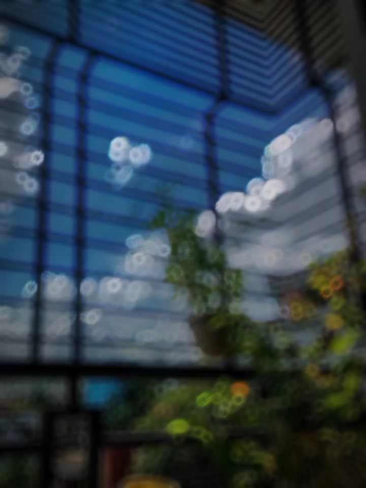 ইসলামিক ভিডিও 