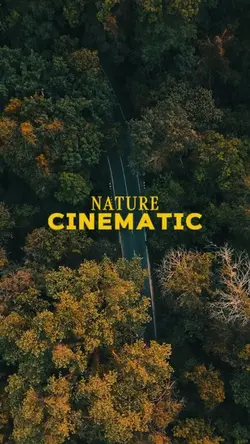 nature cinematic 