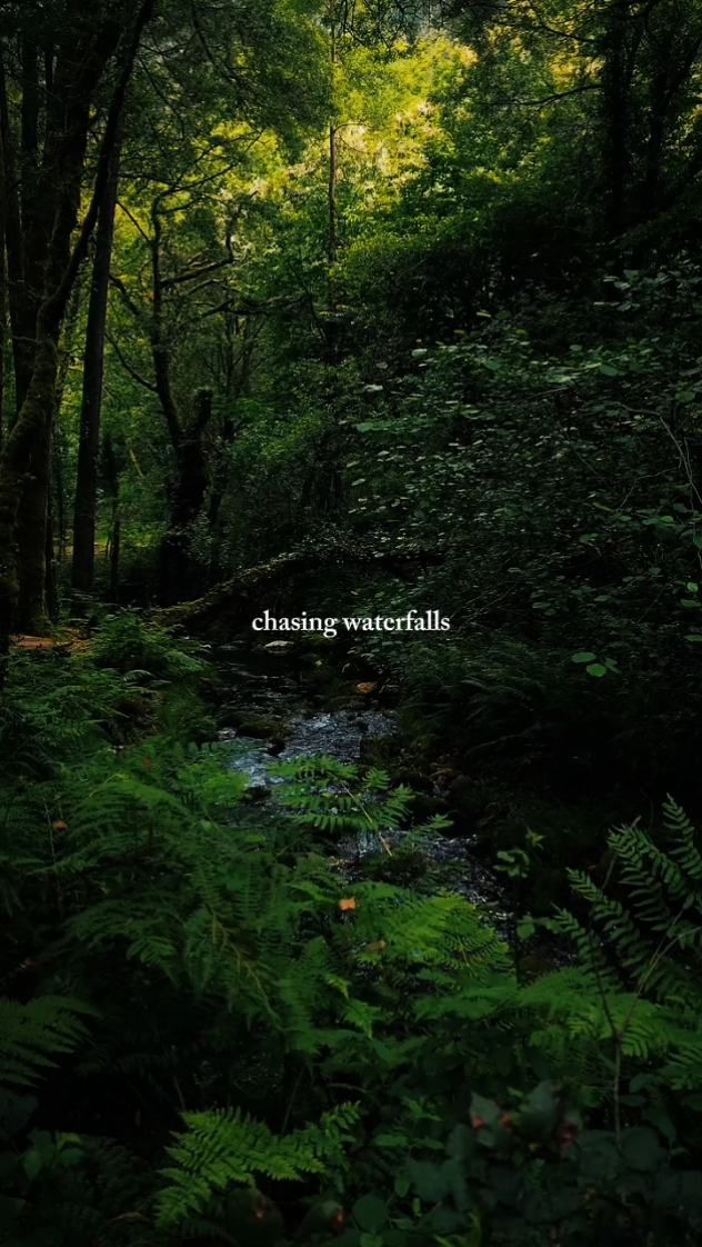 Chasing waterfalls 