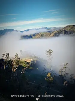 Nature Vibe