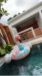 Chill Villa in Jogja
