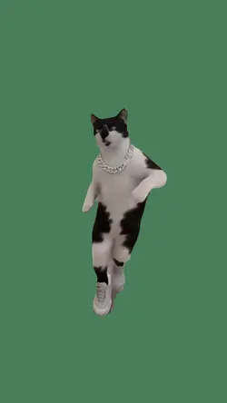 raving cat