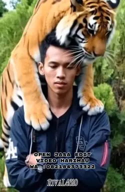 Trend Harimau