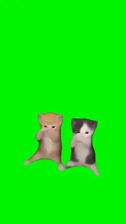 scuba