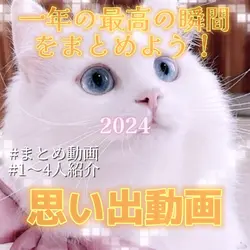 一年の思い出まとめ🩵