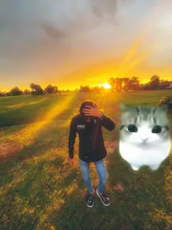 so cute cat