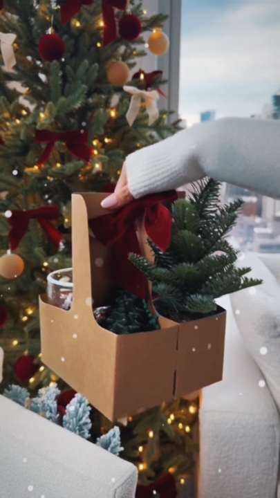 Christmas gift