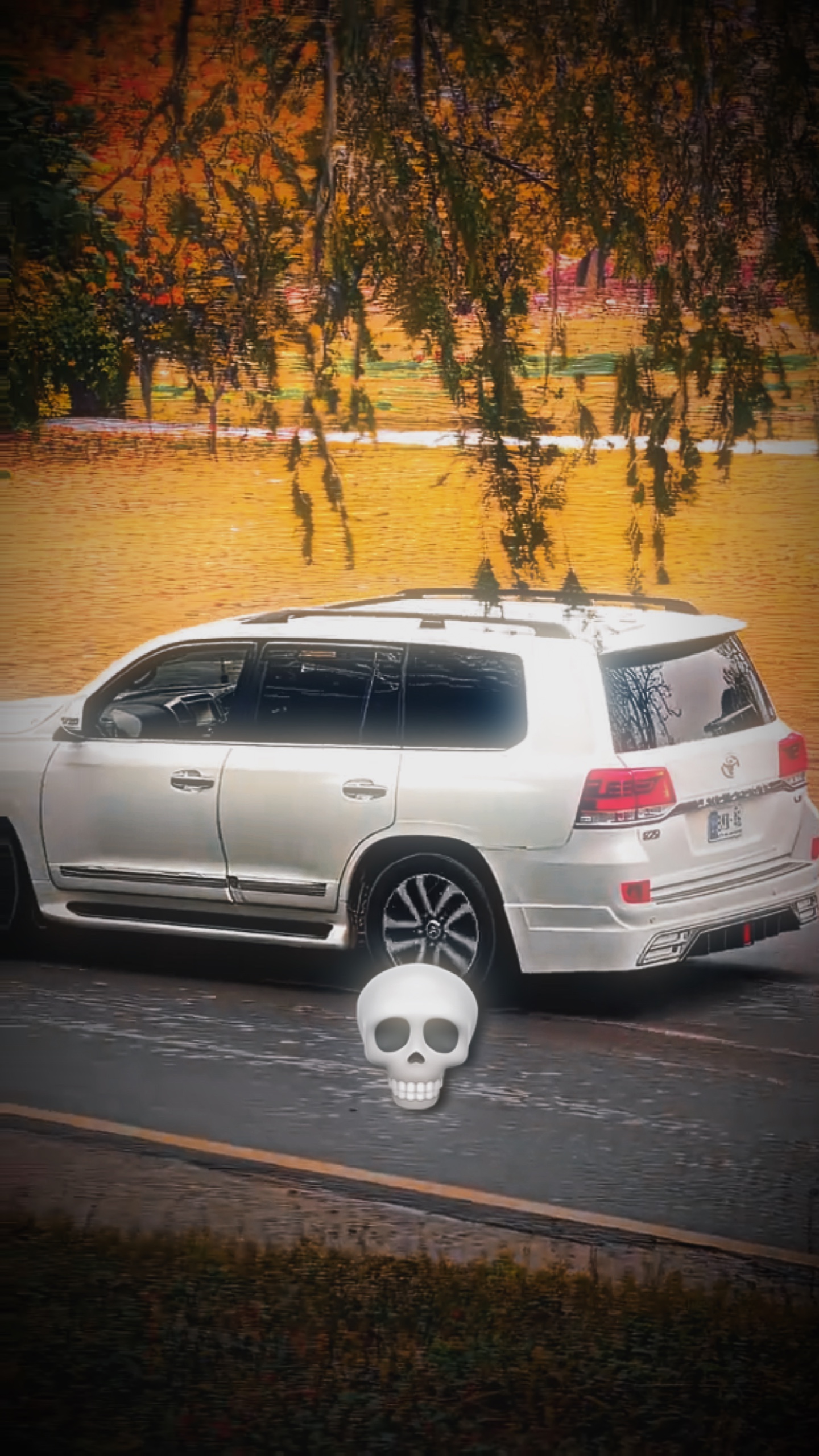 Nuevo cráneo 💀 