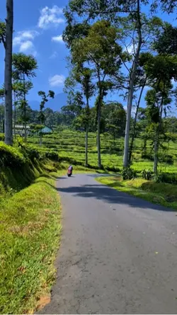 📍Pagilaran
