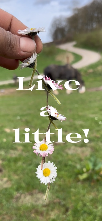🌼