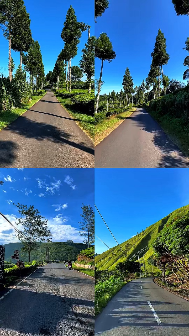 4 collage de videos HD 