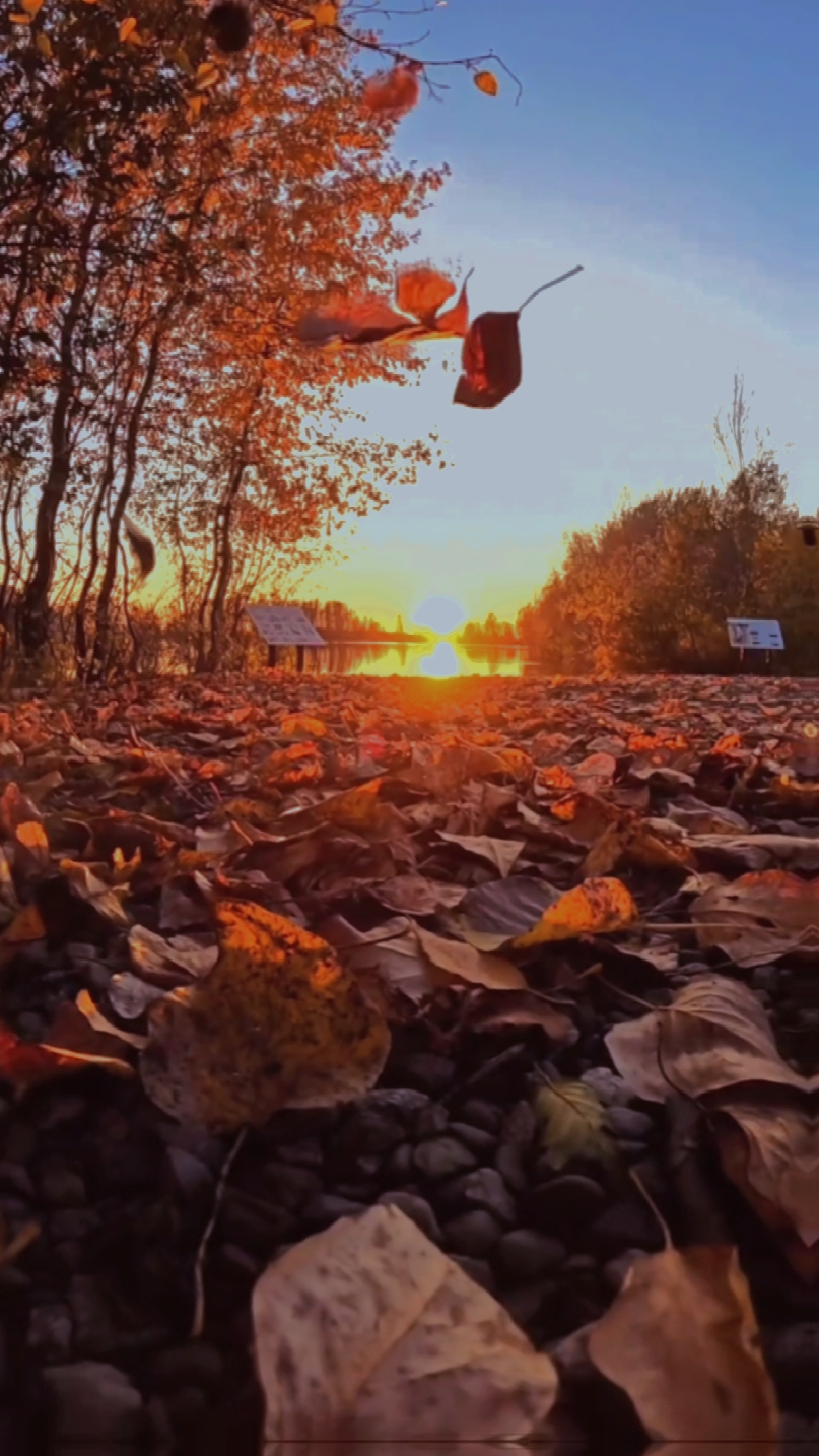 Nature slowmotion 
