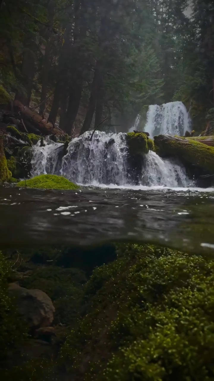 Nature