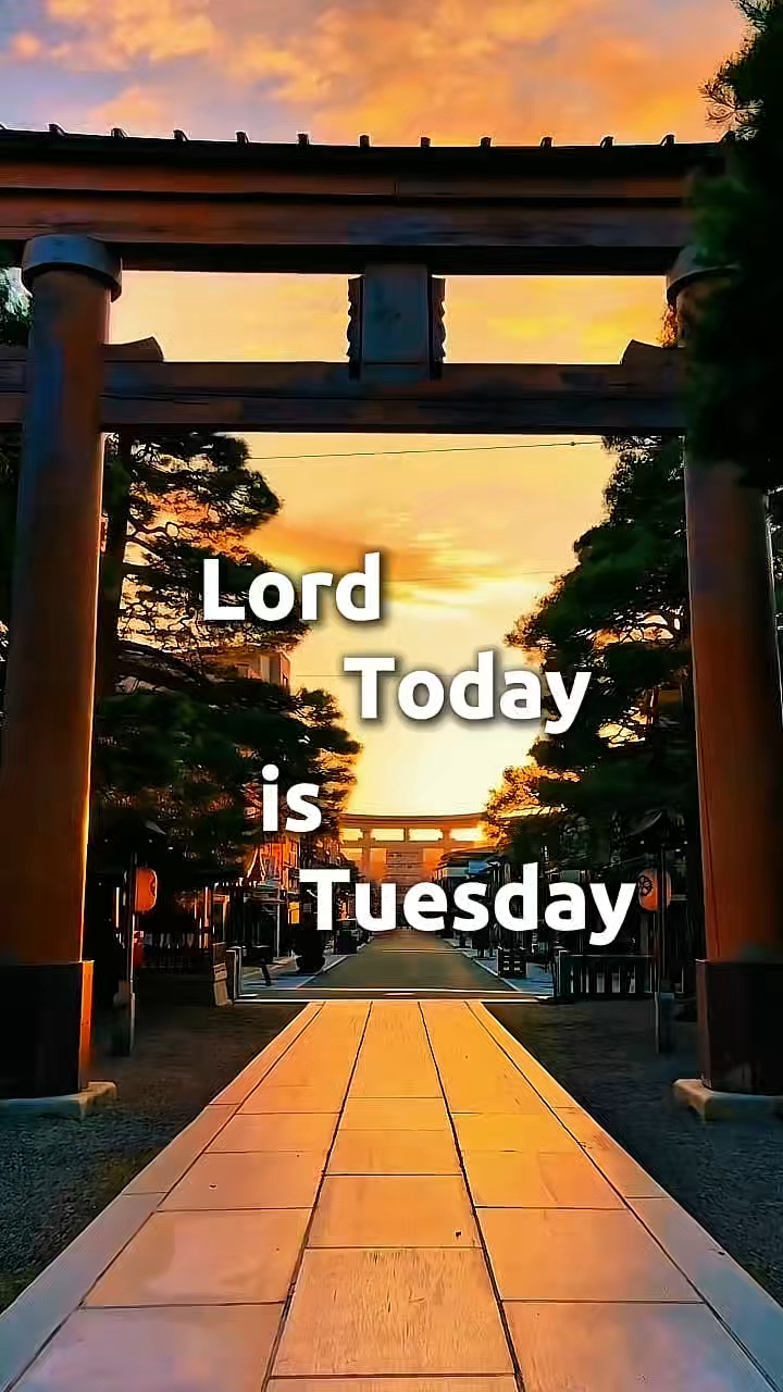 HOY MARTES SEÑOR