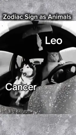 ZodiacSign as animal