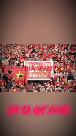 VN vô địchhhh