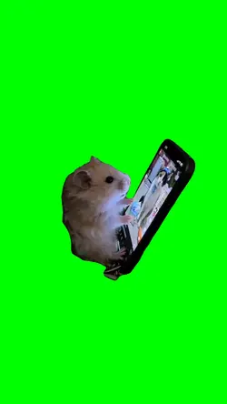 Hamster doomscrolls