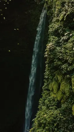 travel nature