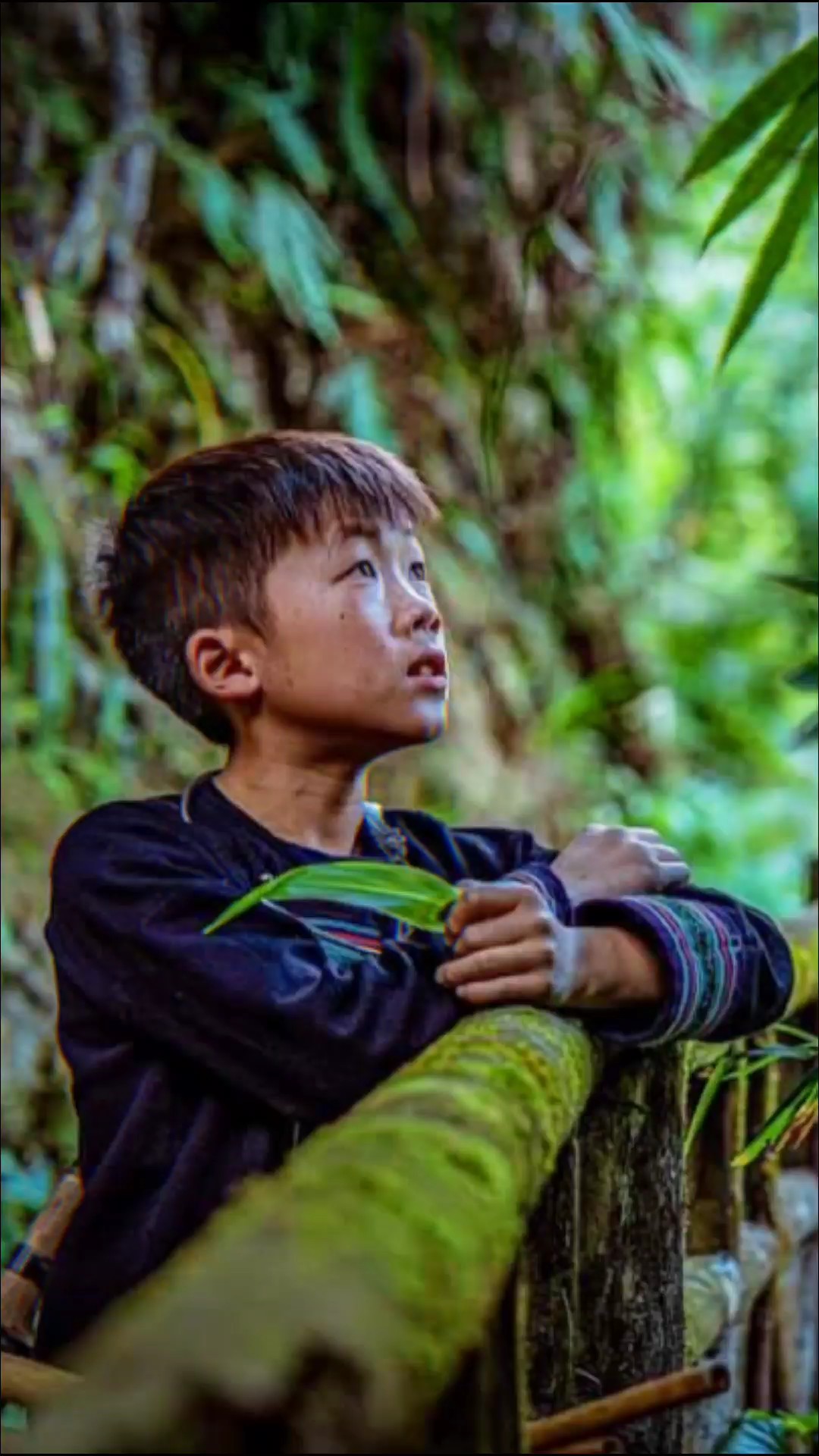 mẫu buồn ...?