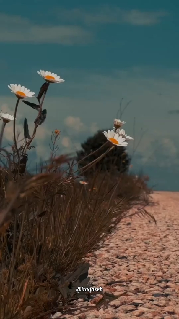 Pesan Pada Hati